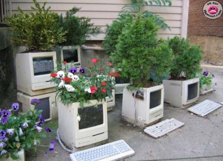 un jardinier fou d'ordinateur !          lolll